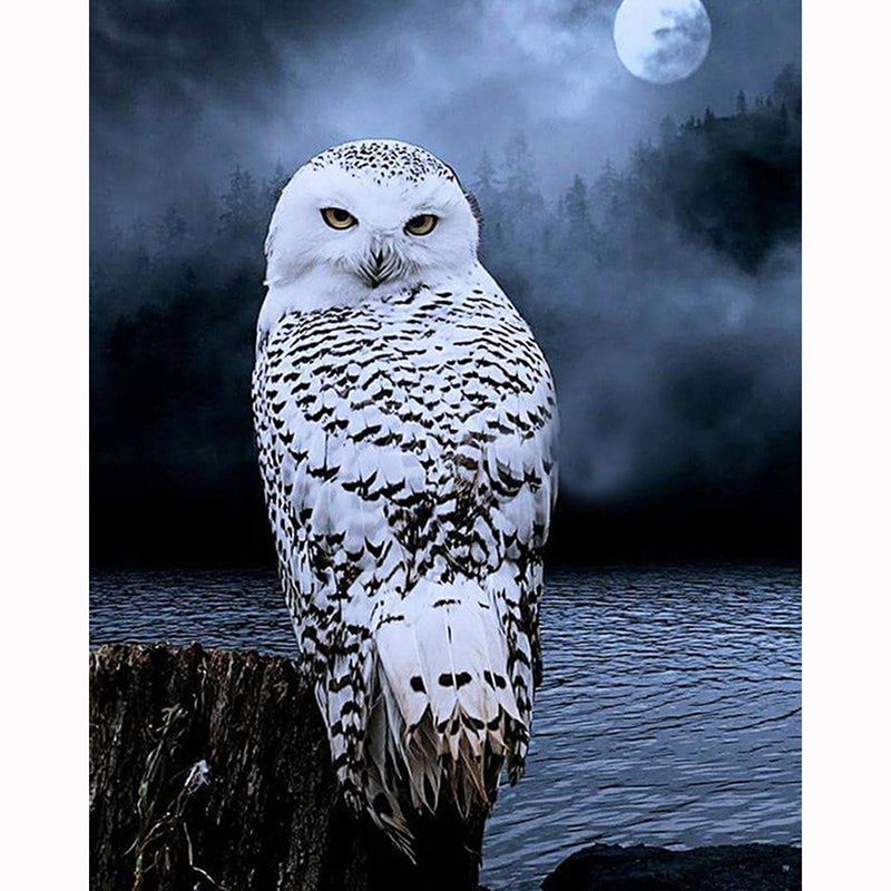 Diamond Painting Kit Night Owl Around Lake Resin Full DIY Mosaic Art Set