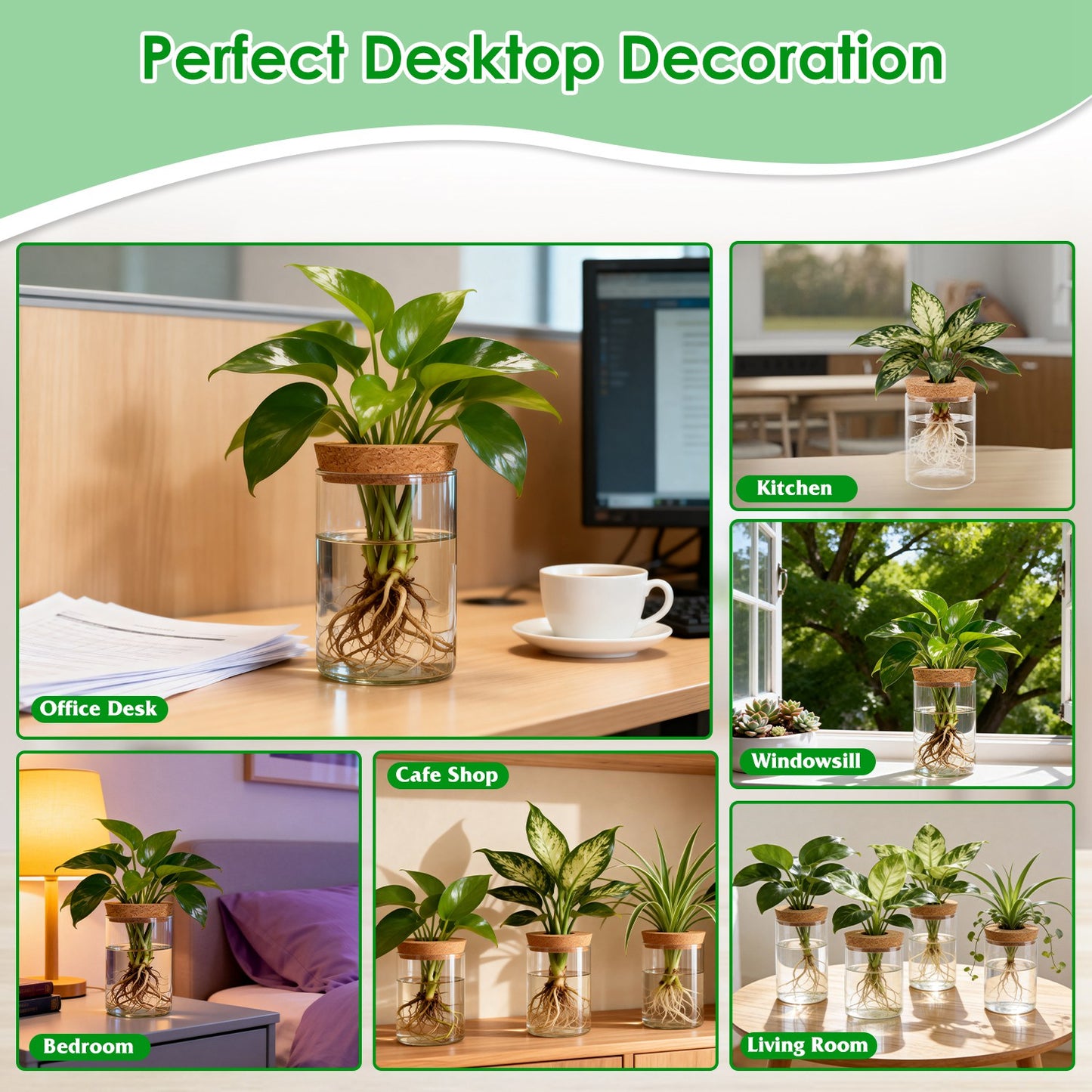 4 Pack Glass Plant Propagation Stations Hydroponic Vases with Cork Lids