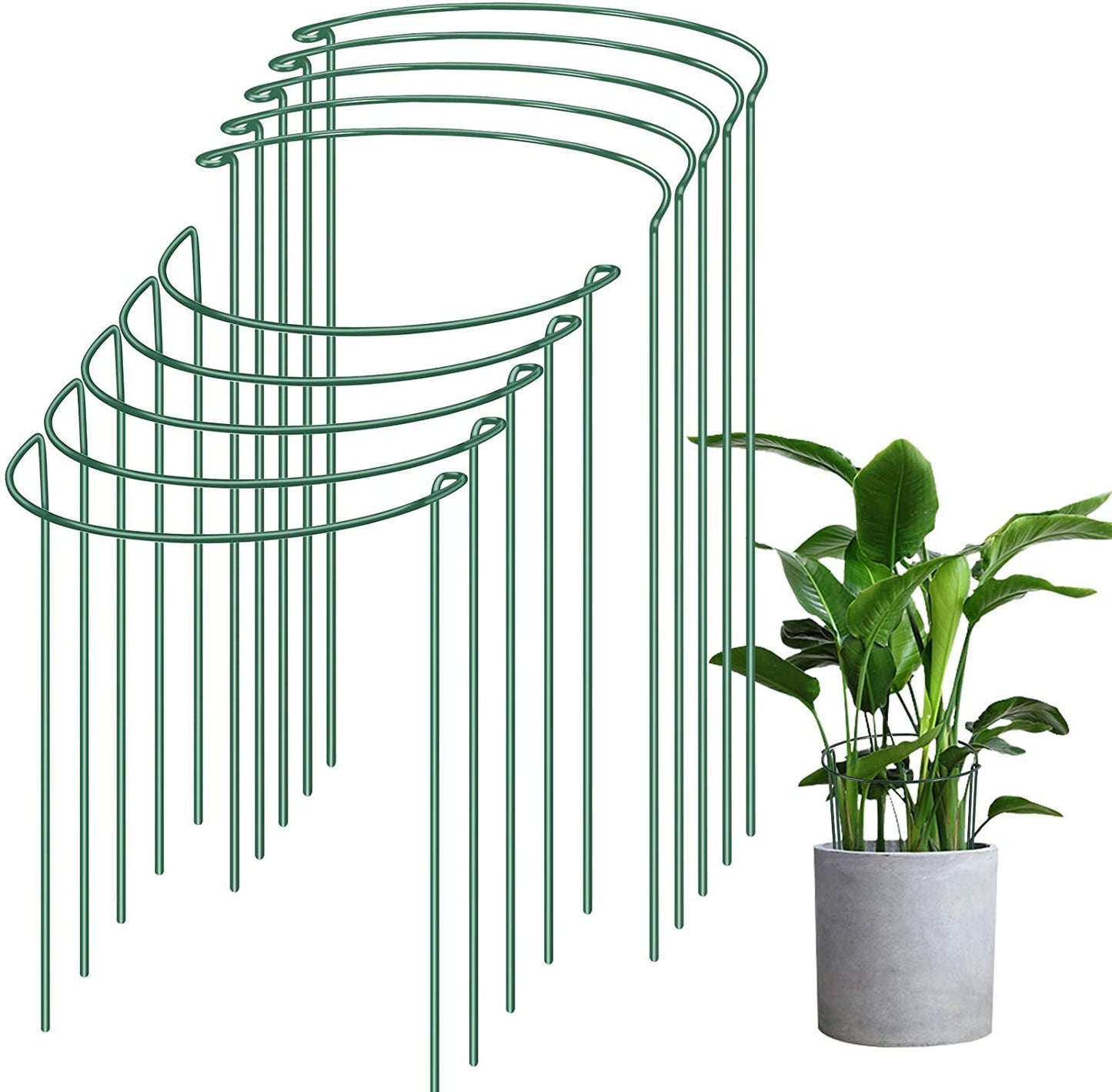 Garden Plant Support Ring Stand Metal Support Frame for Plants - Green