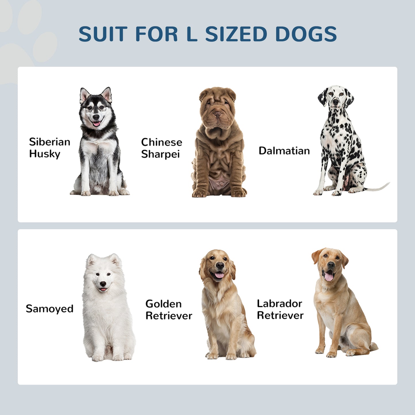 Elevated Pet Feeding Station with Storage for Large Dogs - Gray