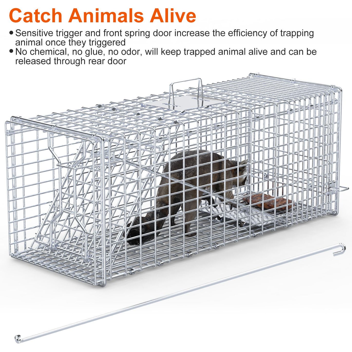 Humane Live Animal Trap - Folding Cat Trap 37x14x15 in
