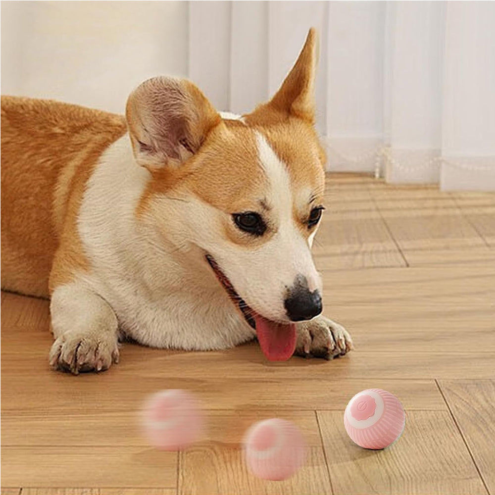 Interactive Rolling Cat Toy Ball - Self-Rotating Silicone Pet Chase Toy