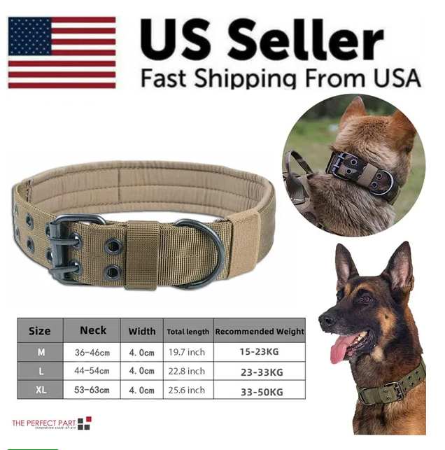 Heavy Duty Nylon Dog Collar Tactical Military Style with Metal Buckle