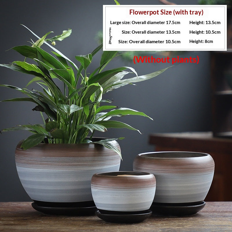 Minimalist Succulent Pot Set - Breathable, Durable Terracotta Planters with Trays