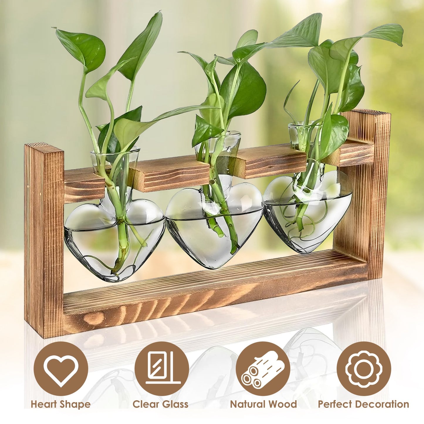 Heart-Shaped Plant Propagation Station with Wooden Stand