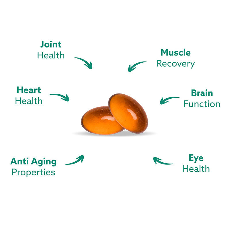 Green-Lipped Mussel Oil Capsules Dietary Supplement for Adults