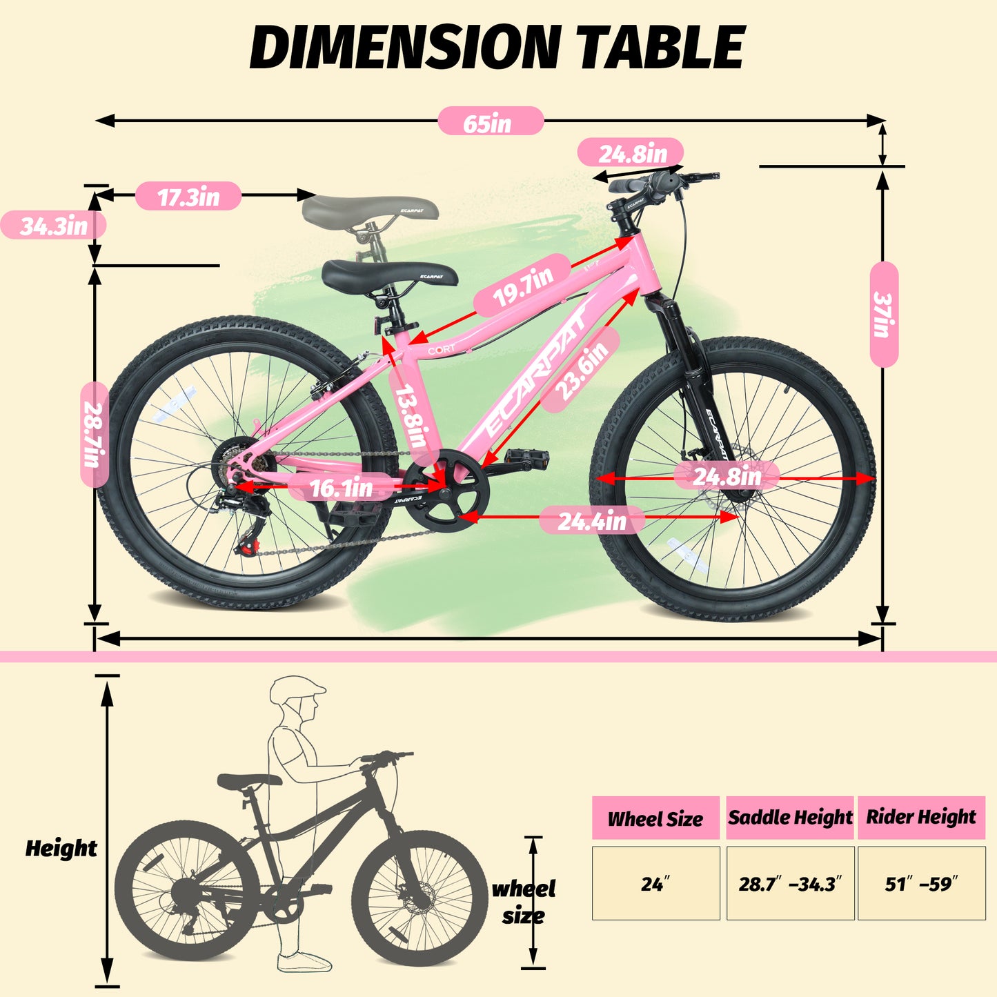 Youth Mountain Bike 24 Inch - 7 Speed, Front Suspension, Disc Brakes
