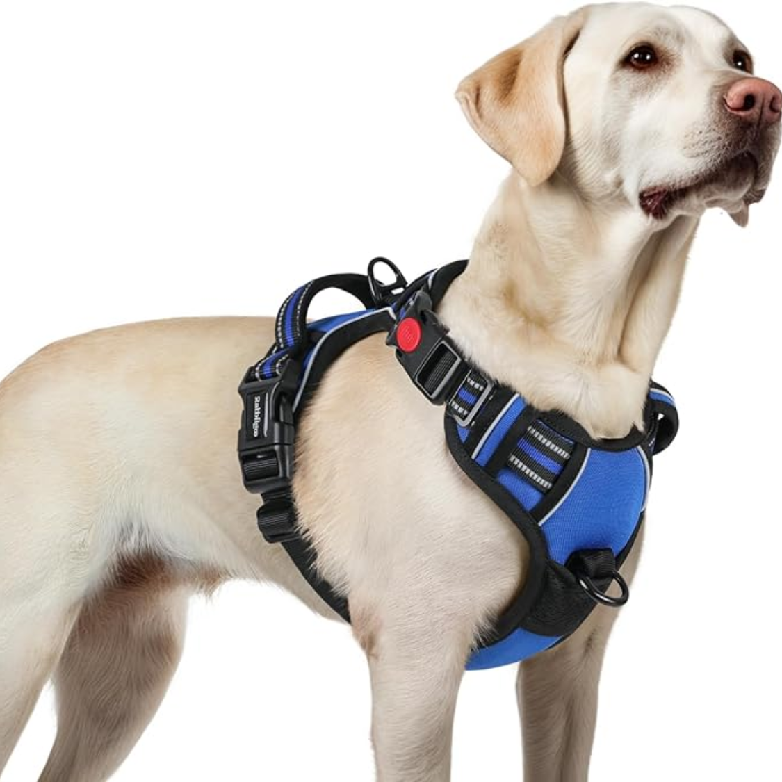 Large No Pull Dog Harness with Reflective Strips, Adjustable Soft Walking Vest, 3 Buckles, Handle & 2 Clips, Blue, L