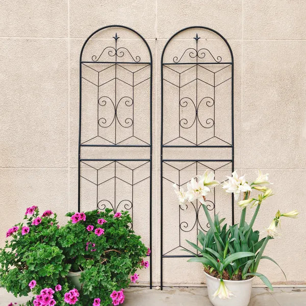 Metal Garden Trellis - 71" x 19.7" Rustproof Support for Climbing Plants - Black