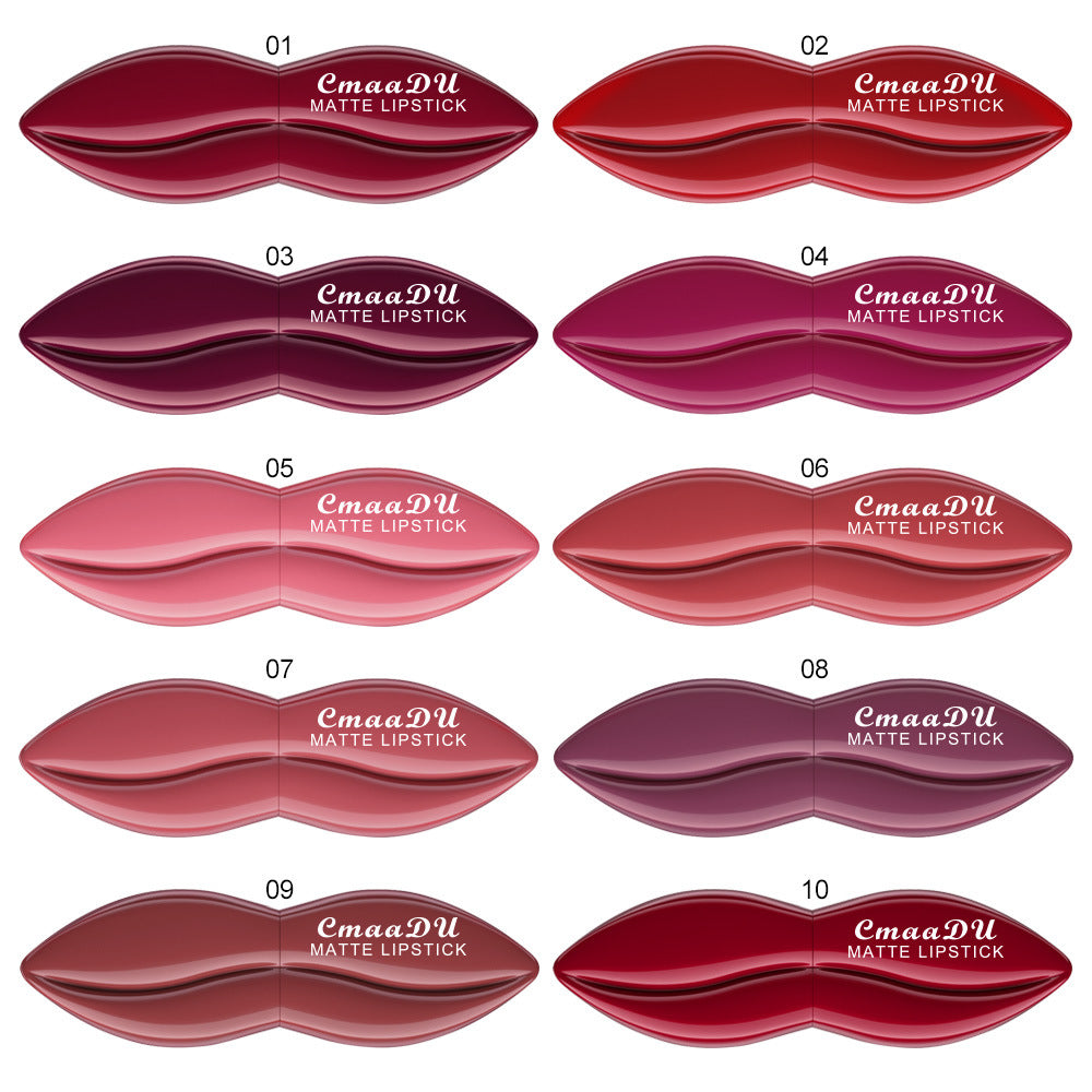 Matte Lipstick Set - Versatile & Easy to Apply, 5-Piece