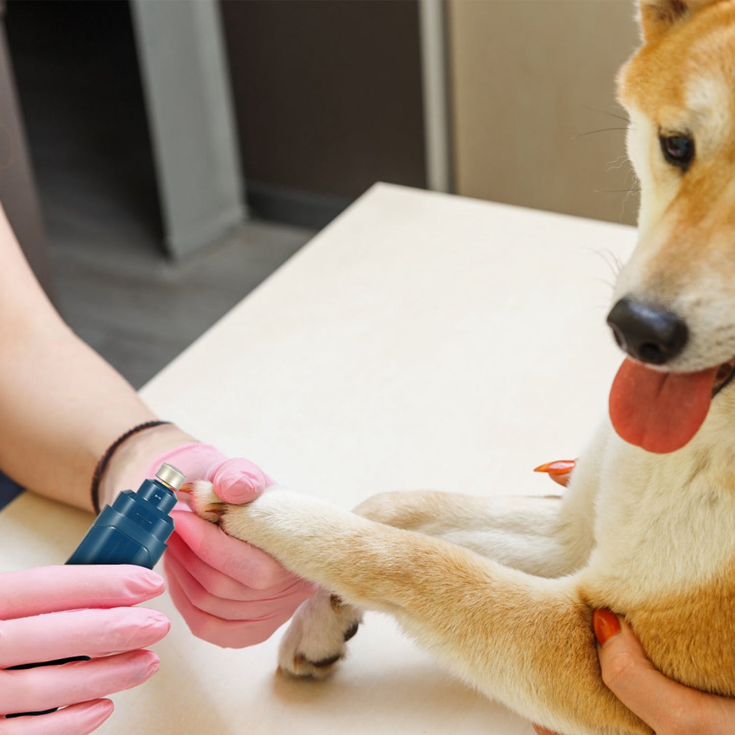 Dog Nail Grinder with 2 Speeds USB Rechargeable Quiet Pet Nail Trimmer