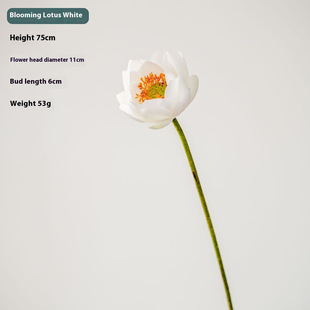 Fake Lotus Flower Decorations Set - Pink, White, Pollen & Blooming Styles