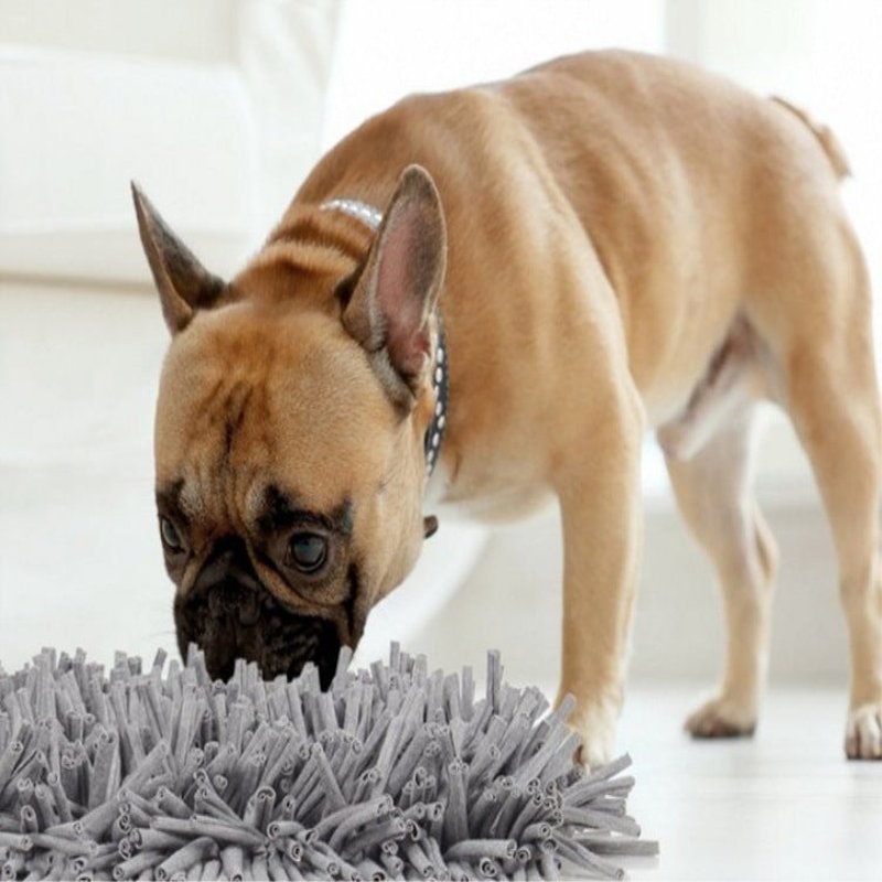 Pet Sniffing Dog Training Mat - Non-Slip Foraging Puzzle Mat 30x45cm