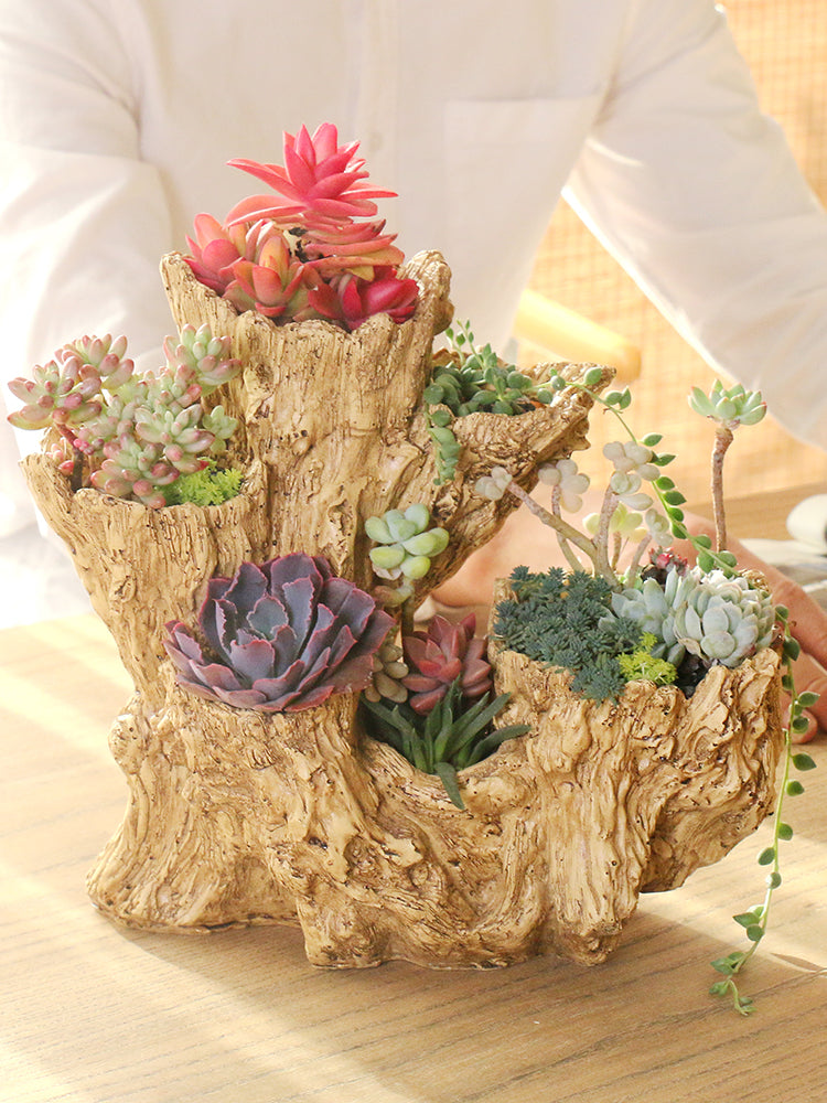 Cactus Flower Pot with Resin Material - Small Wooden Color Home Plant Container