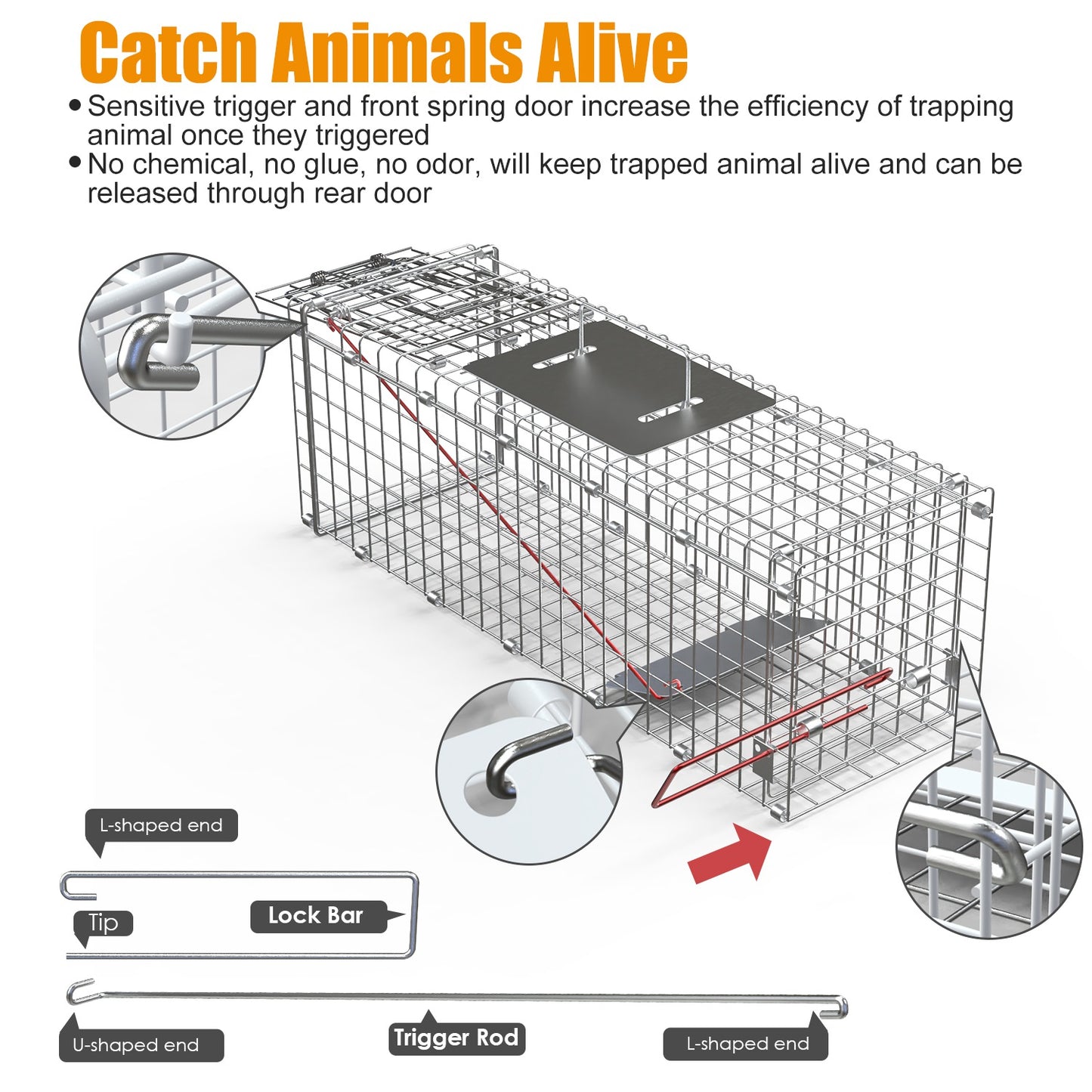 Humane Live Animal Trap Cage - Collapsible Wire for Small Animals