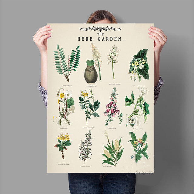 Herb Garden Botanical Poster Wall Art - Modern Minimalist Canvas Print