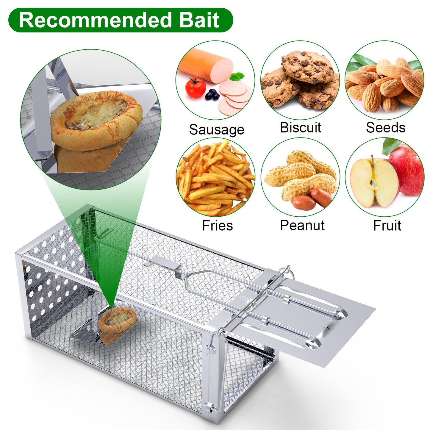 Humane Rat Trap Cage - Stainless Steel Rodent Trap for Indoor & Outdoor Use