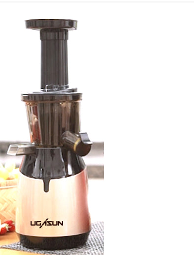 Low Speed Fruit and Vegetable Juicer - Multifunctional Kitchen Juicer Machine