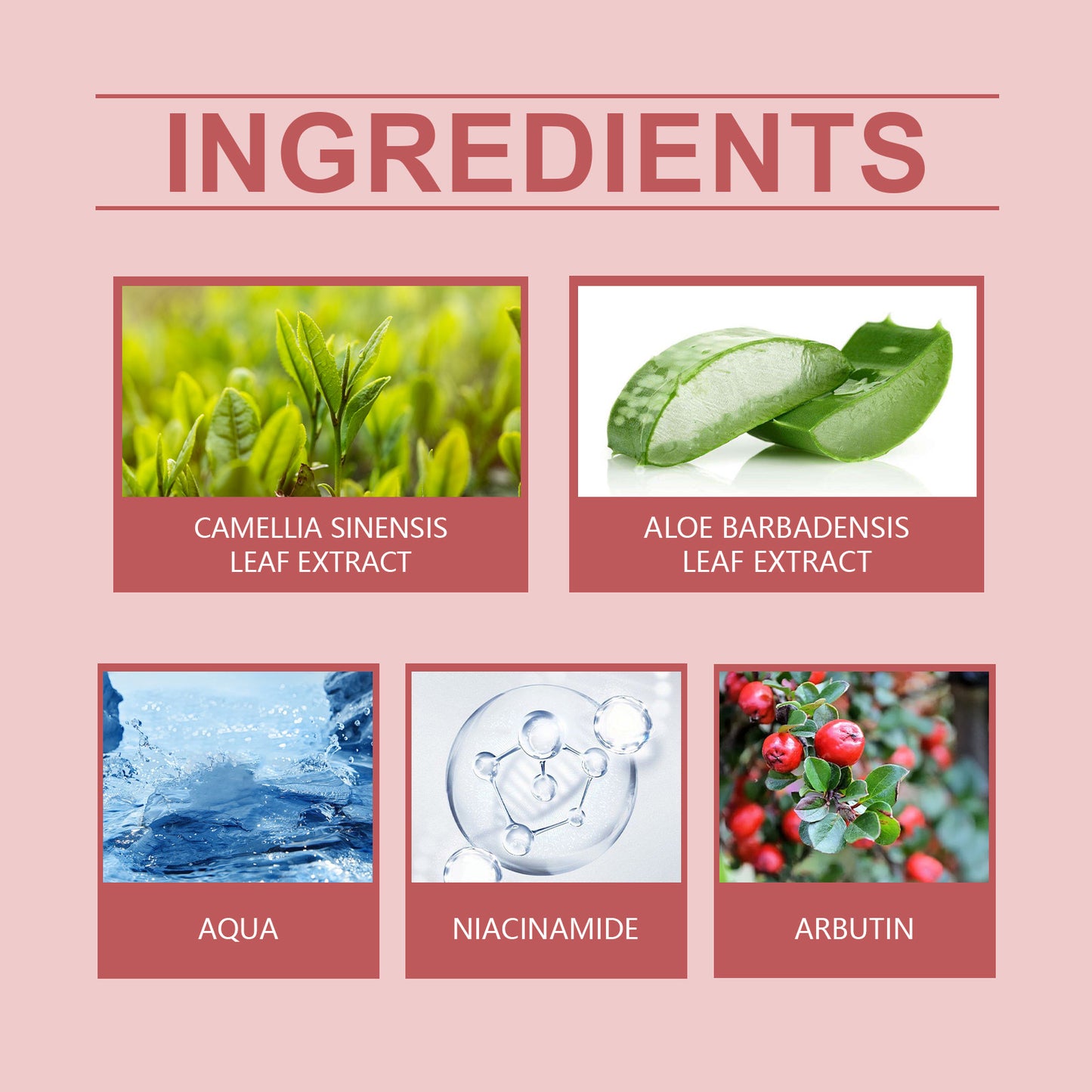 Brightening Facial Serum with Niacinamide & Arbutin - Dark Spot Corrector