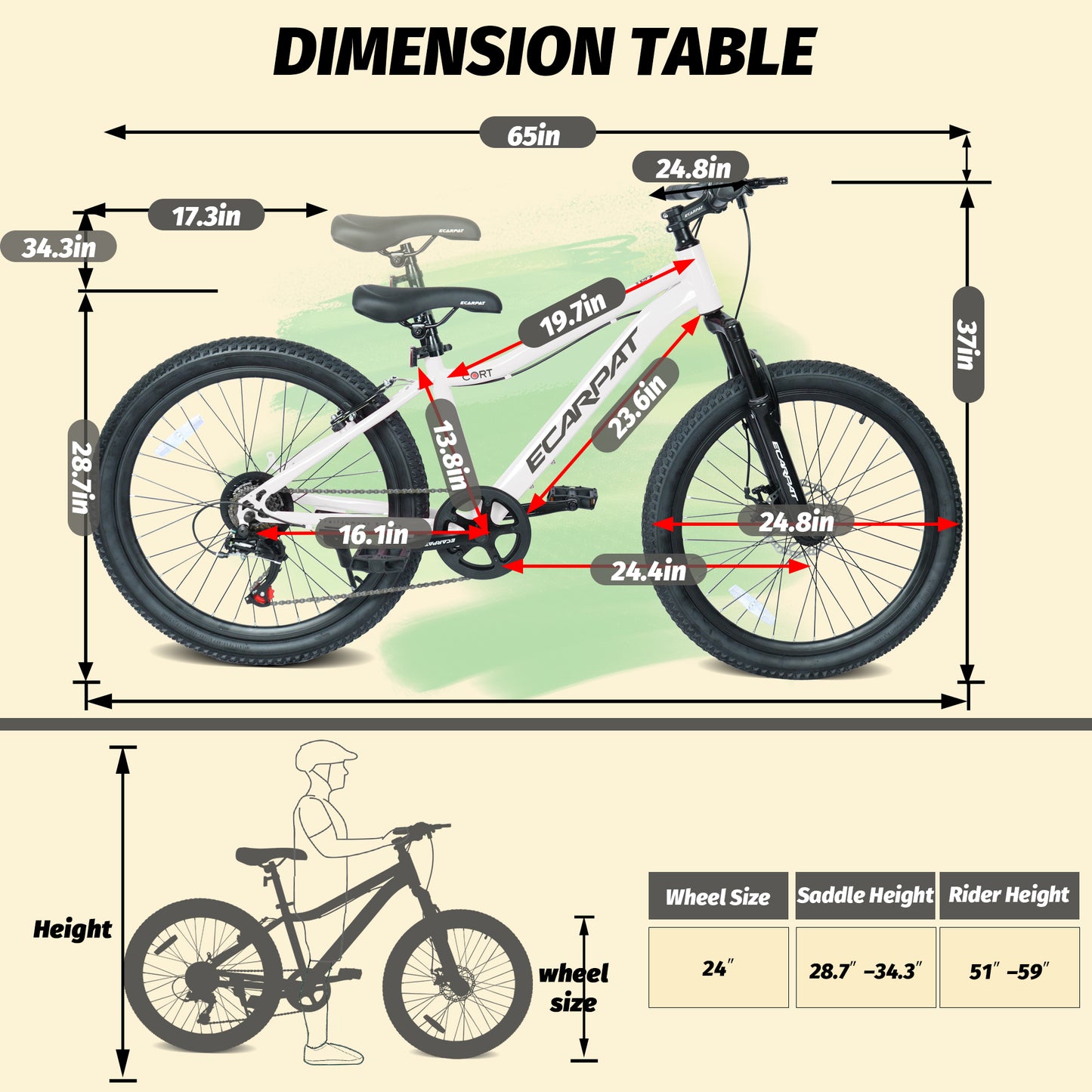 Youth Mountain Bike 24 Inch - 7 Speed, Front Suspension, Disc Brakes