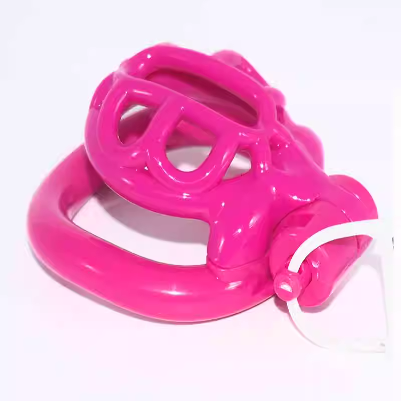 Men's Turtle-Shaped Resin Chastity Lock with Multiple Color Options