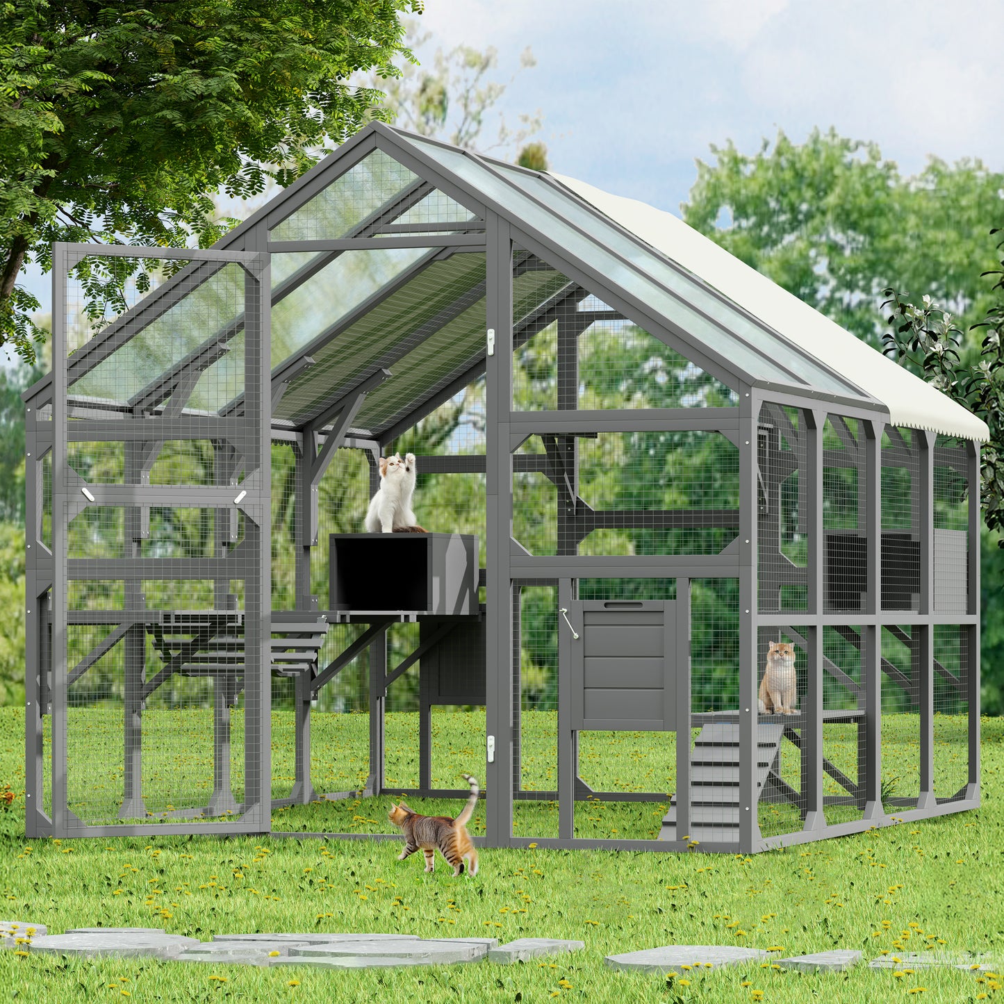 Large Outdoor Cat Enclosure for Multiple Kittens - Gray