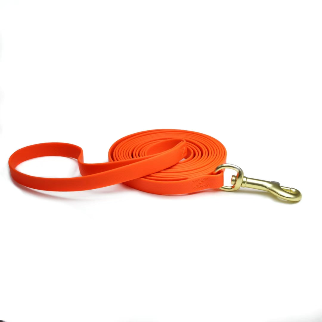 Pet Training Rope Leash - Durable Waterproof Memory Recall Tool for Outdoor Use
