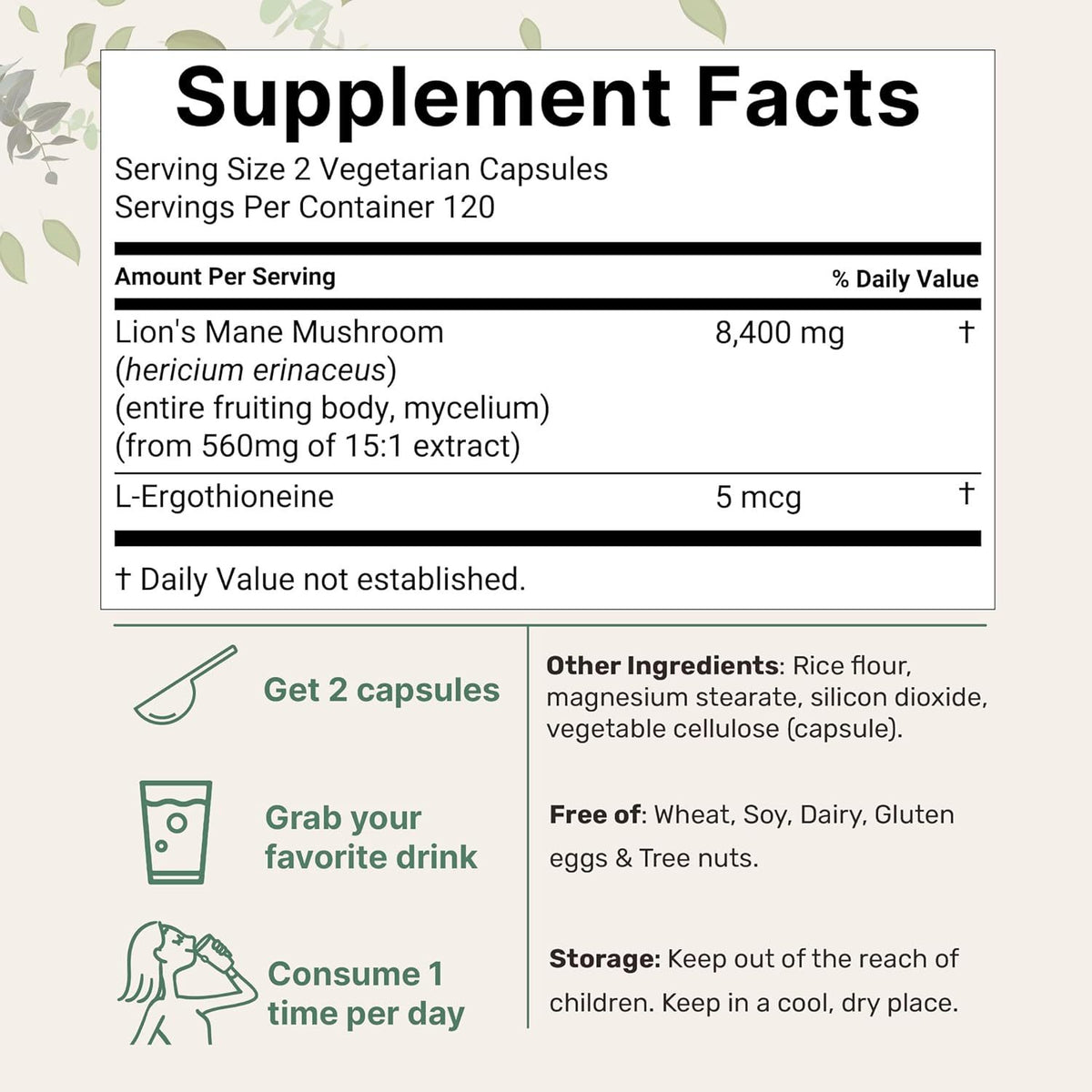 Lion Mane Capsule - 240 Tablets per Bottle
