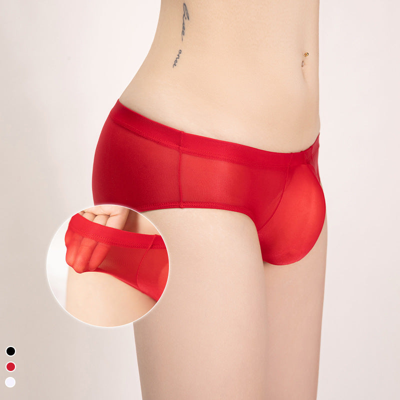 Men's Sheer Low Waist Mesh Panties - Ultra-Thin Nylon Underwear for Men