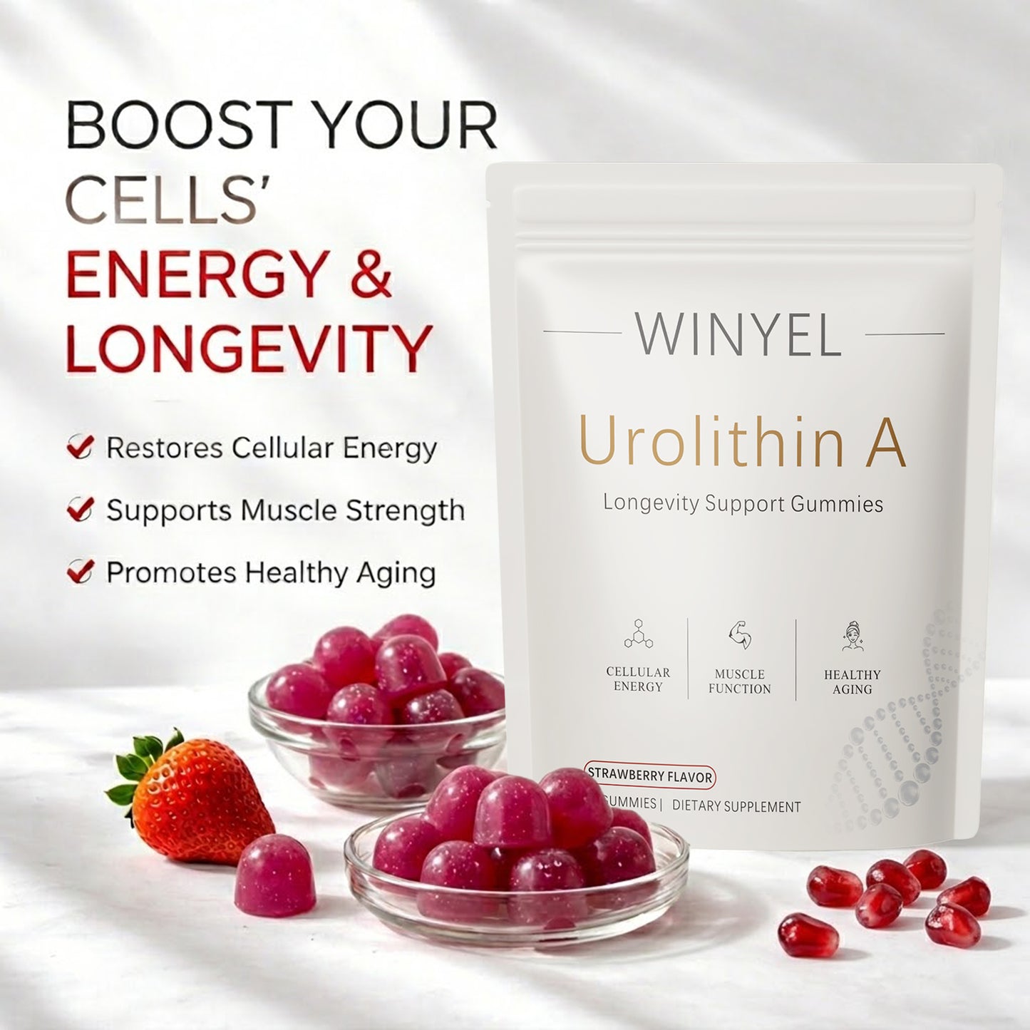 Urolithin A Supplement Gummies - Cellular Energy & Muscle Support - 60 Count