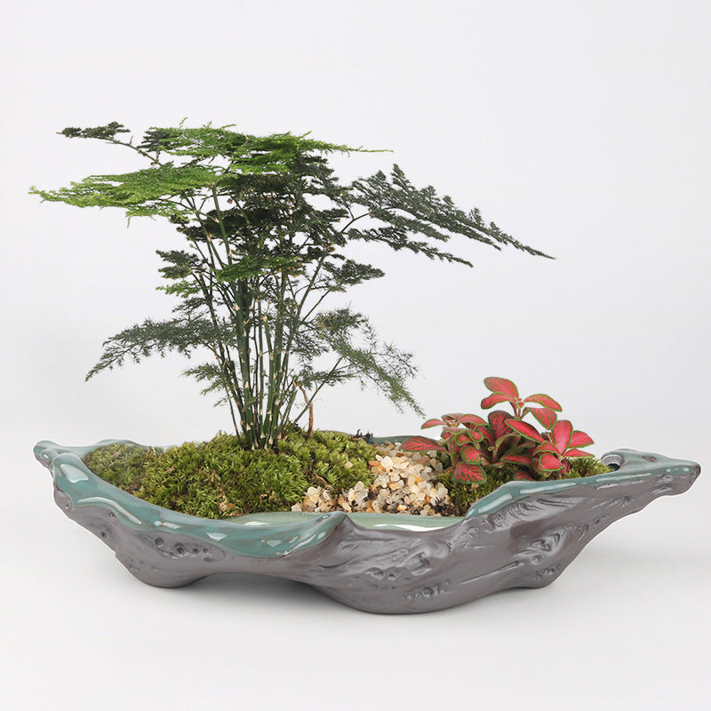 Large Ceramic Flower Pot for Bonsai and Garden Plants - Creative Home Decor