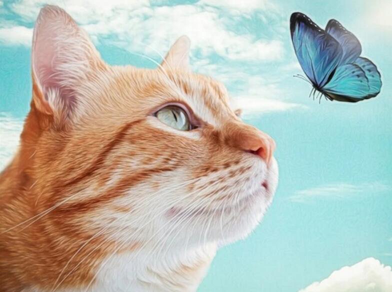 Diamond Painting Cross Stitch Kit for Home Decor - Butterfly Animal Design