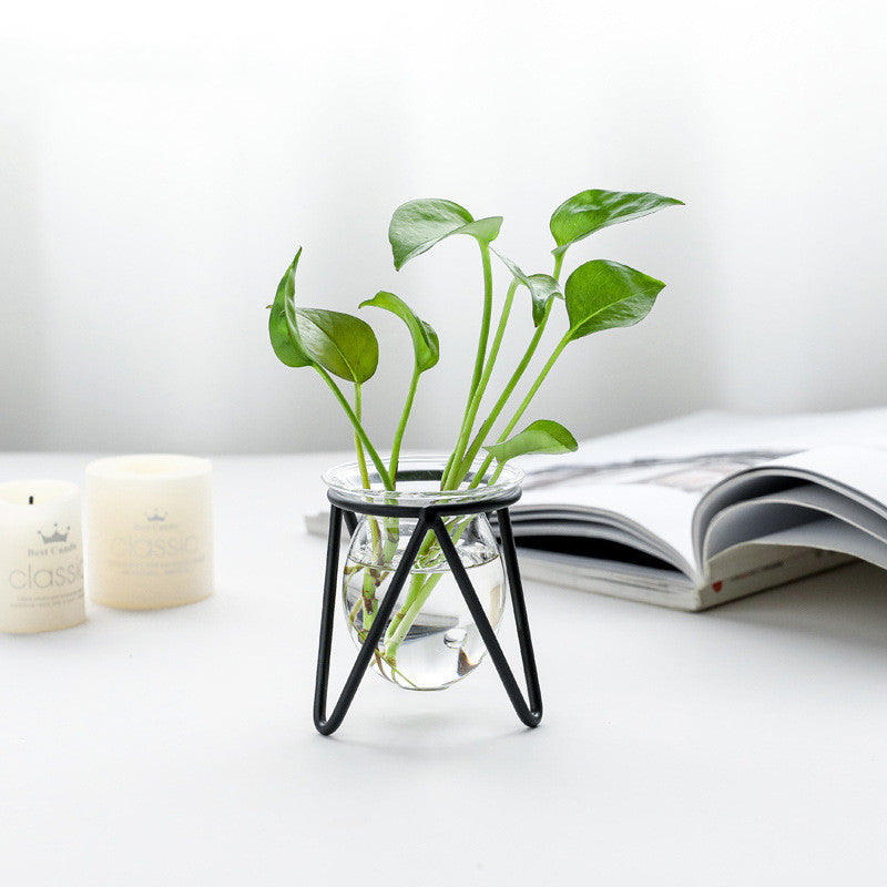 Decorative Hydroponic Vase with Metal Test Tube for Living Room & Dining Table - Black & Gold