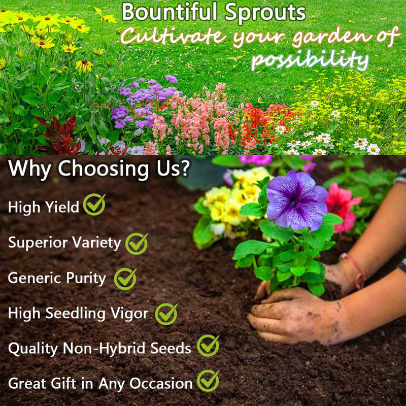 Mixed Creeping Thyme Seeds Ground Cover for Gardens - 5 Varieties, Non-GMO, Drought Tolerant, Perennial Flower