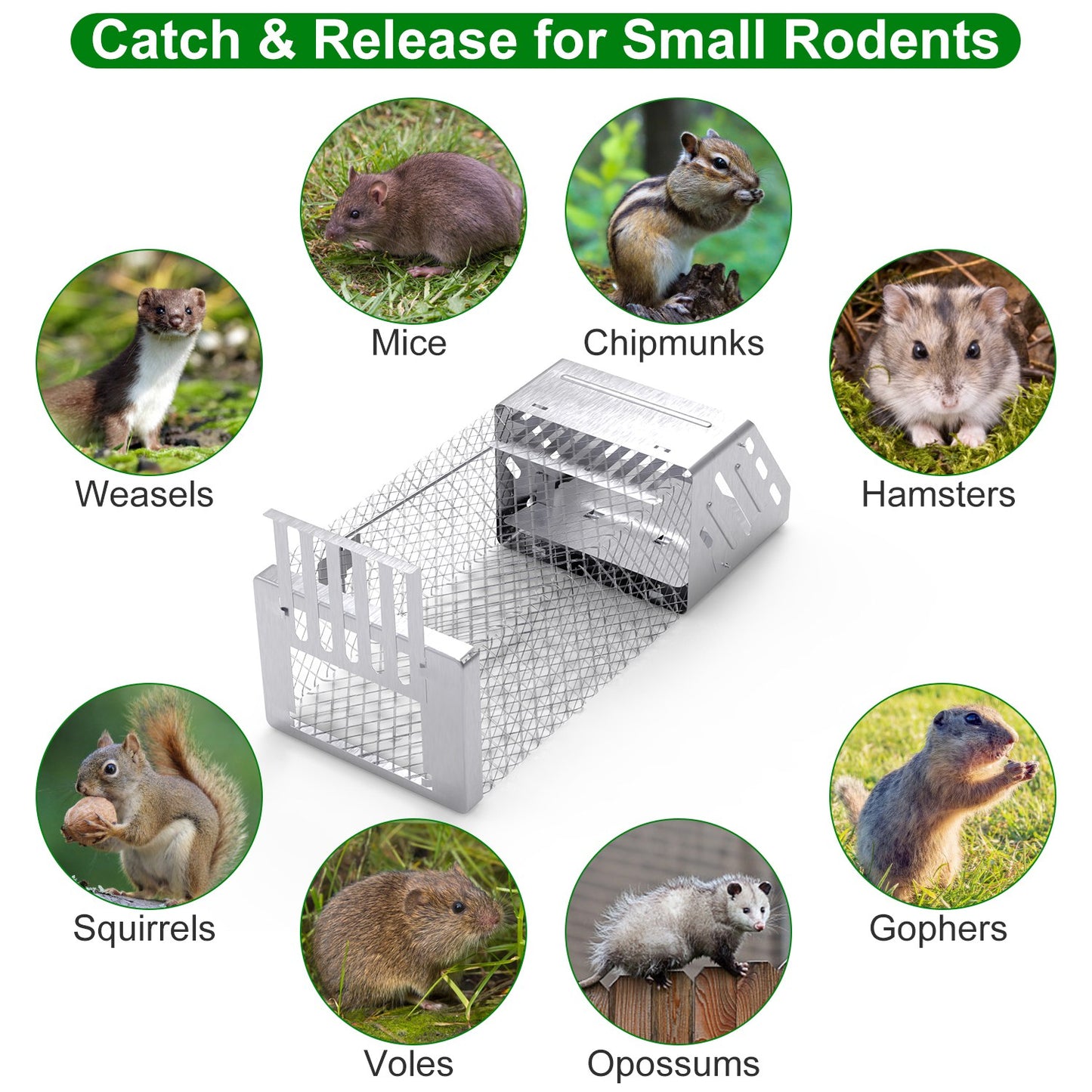 Automatic Continuous Mouse Trap - Humane Live Rodent Cage - Silver