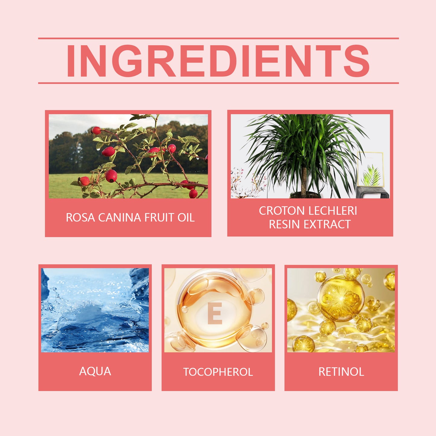 Rosehip Anti-Wrinkle Facial Cream - Moisturizing & Firming Skin Care