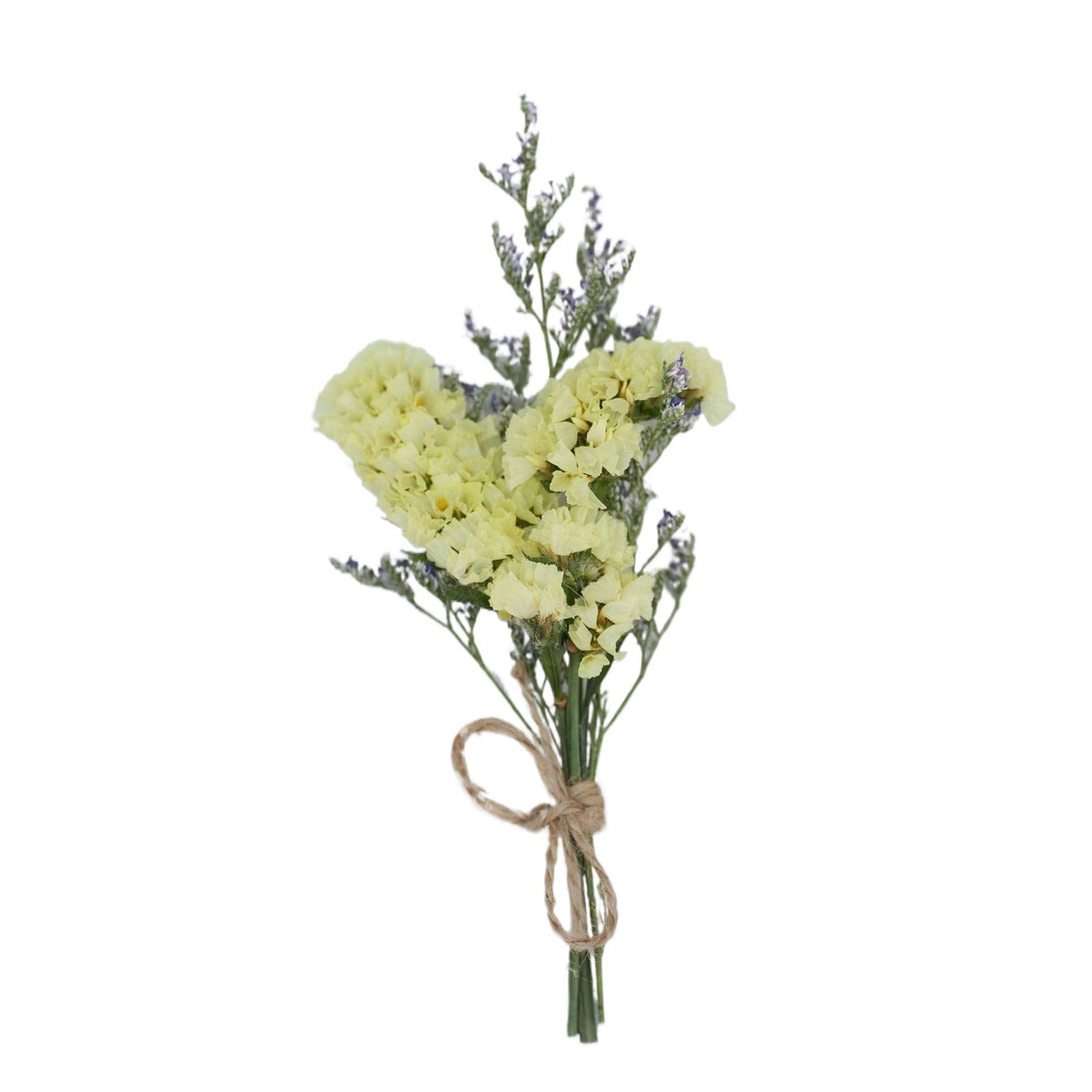Mini Dried Flower Bouquet Gift for Home Decor and Crafts - Assorted Styles 1-20pcs