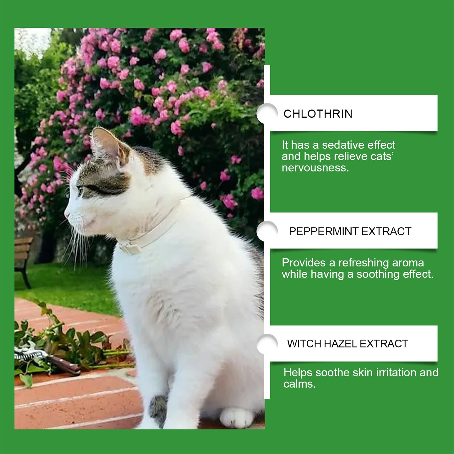 Cat Calming Pheromone Diffuser Kit 45ml Stress Relief for Anxious Cats
