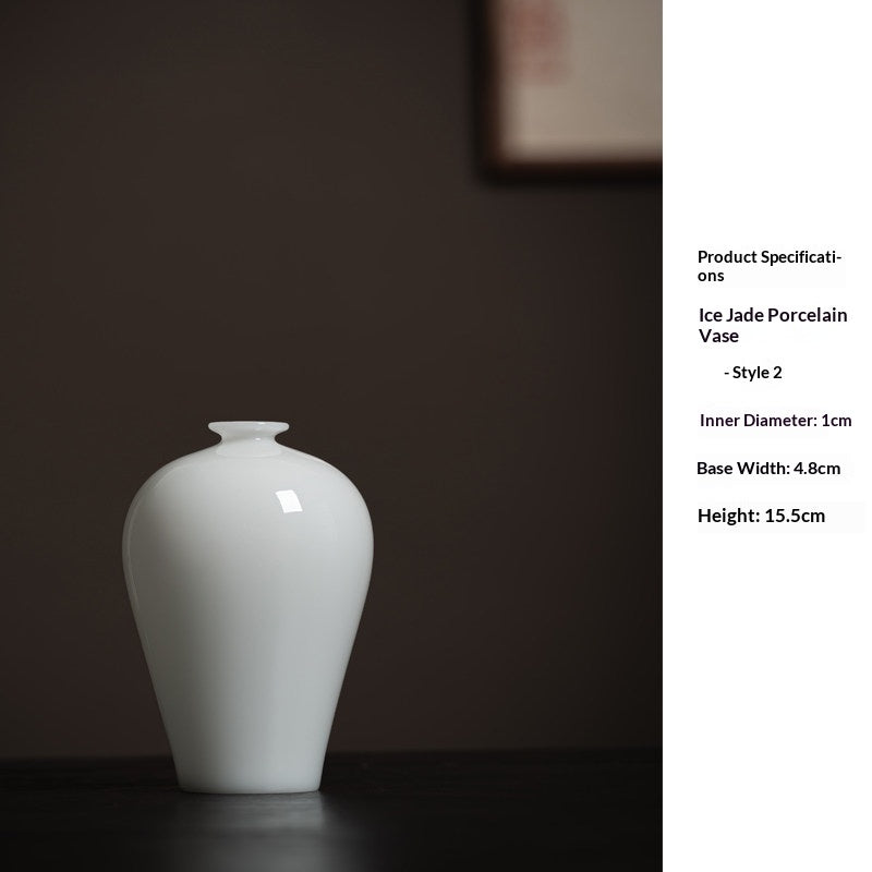 Chinese Style Ceramic Vase for Hydroponic Plants - Living Room Decor