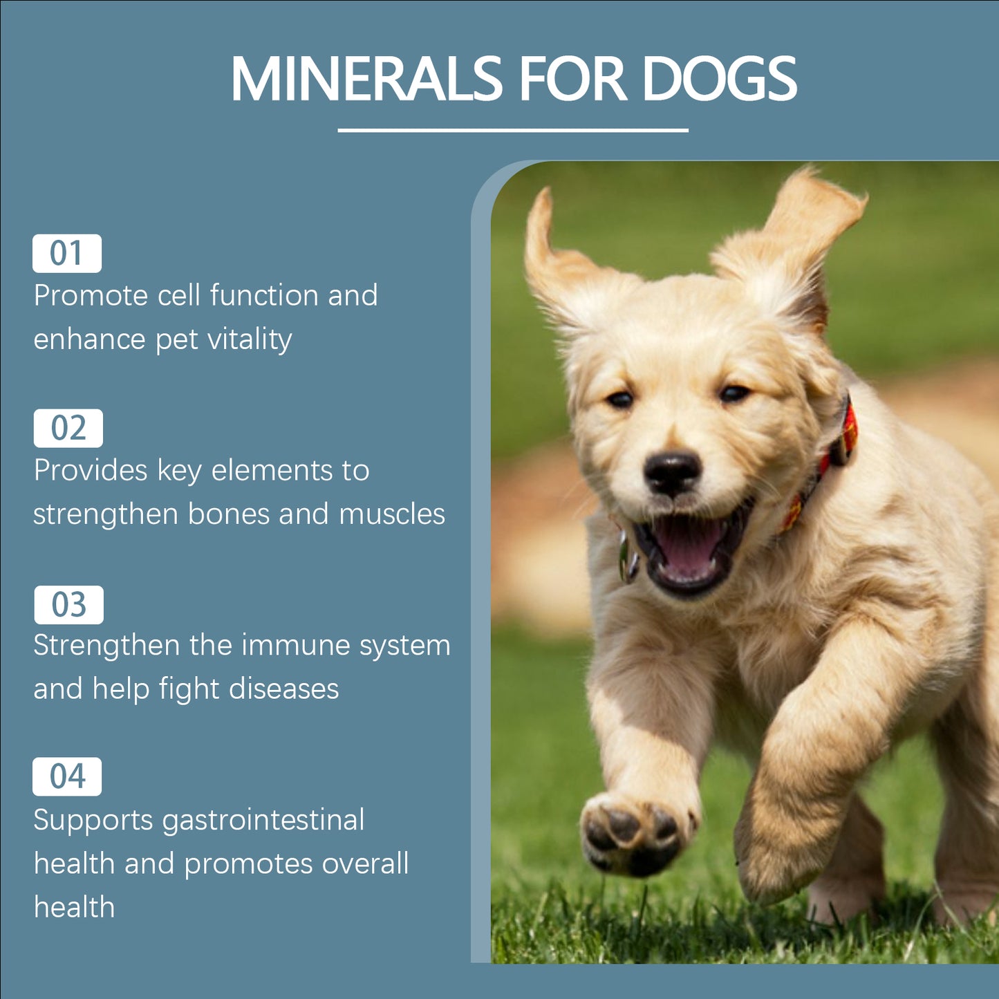 Dog Mineral Supplement Chewables for Pica Appetite & Bone Support - Non-GMO, 80 Tablets