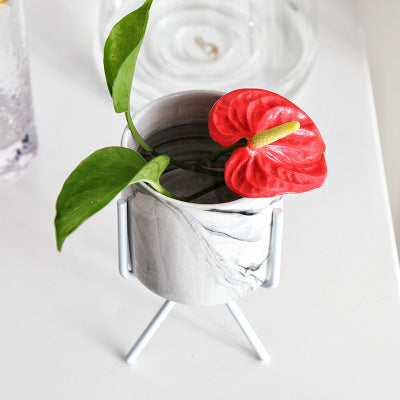 Gold-Plated Iron Frame Succulent Flower Pot with Marbling Ceramic Planter - Multiple Sizes