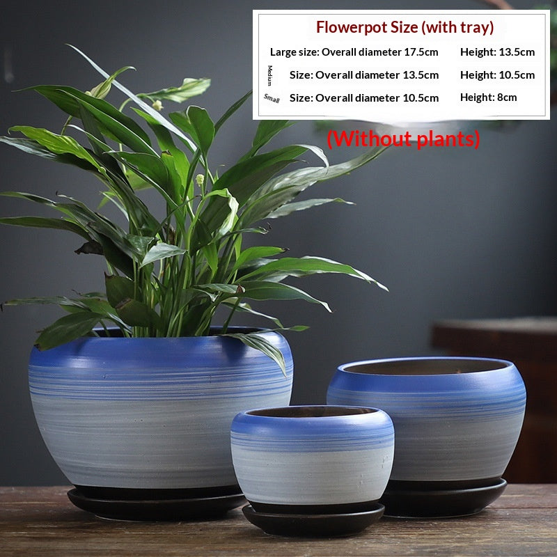Minimalist Succulent Pot Set - Breathable, Durable Terracotta Planters with Trays