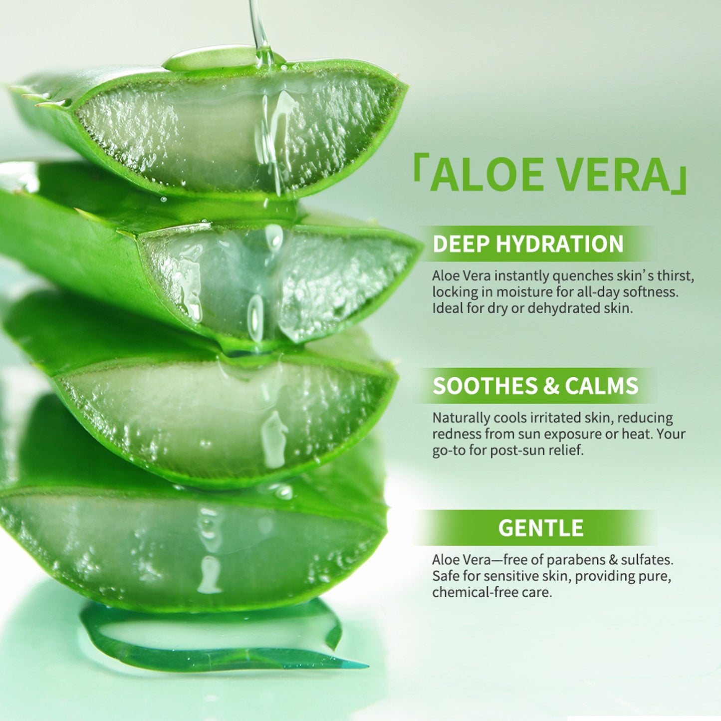 Aloe Vera Skincare Set - Facial Toner and Lotion for Healthy Skin