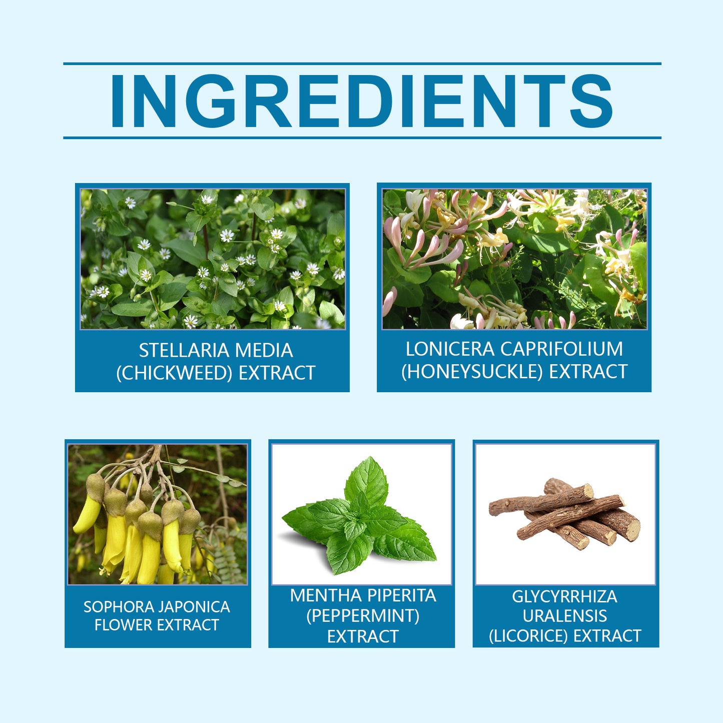 Herbal Skin Repair Cream - Soothing Moisturizer for Face and Body