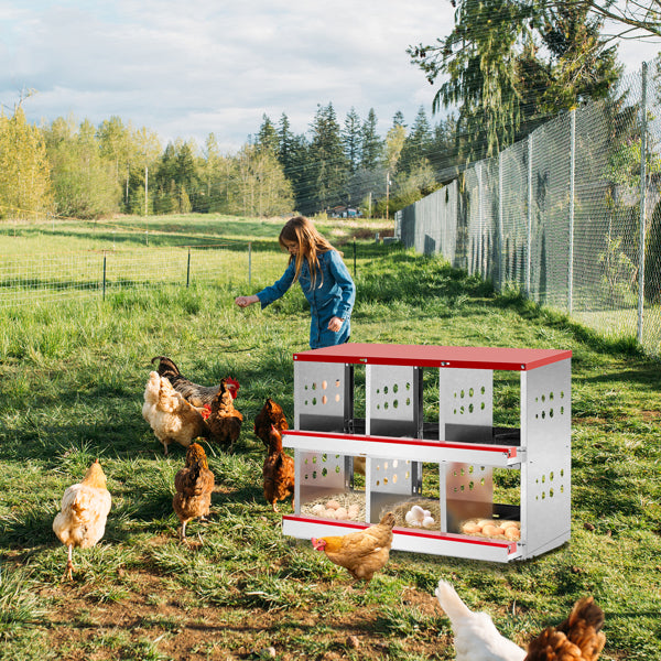 Pet Feeding Tools 6-Compartment Chicken Nesting Box, 84x43x62cm, Red, Iron