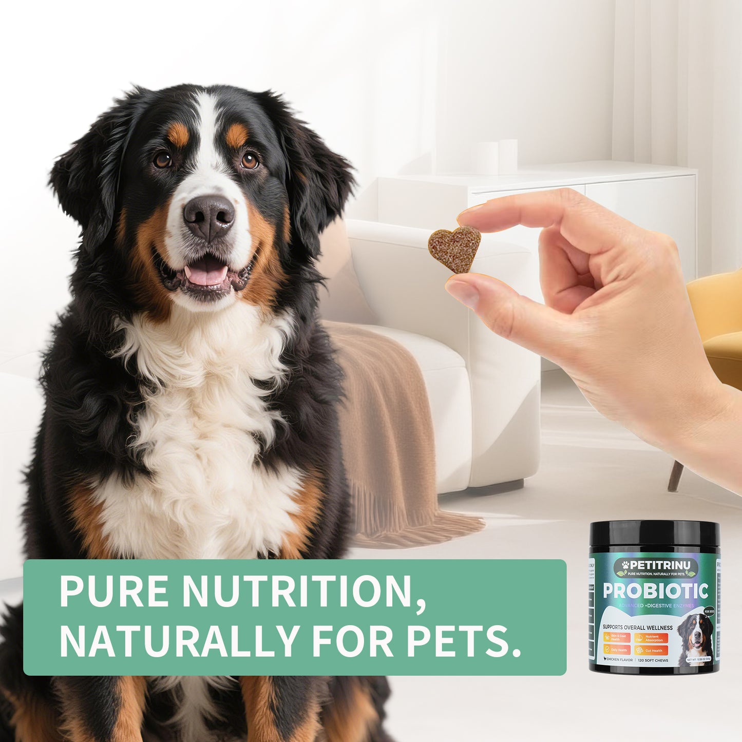 Dog Digestive Enzymes and Probiotic Soft Chews - Supports Gut & Skin Health - Chicken Flavor - 120 Count