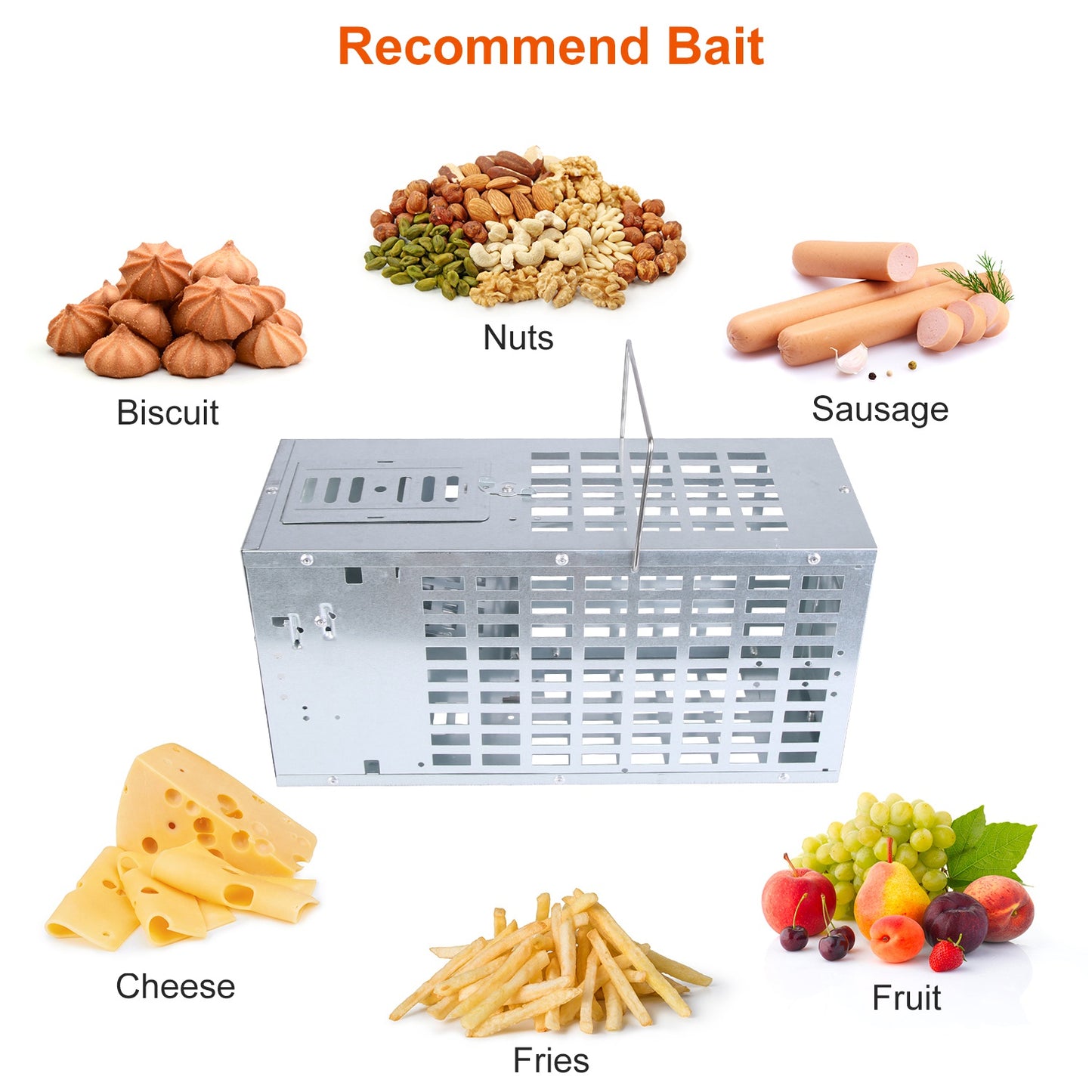 Humane Live Mouse Trap Cage - Reusable Metal Rodent Catcher