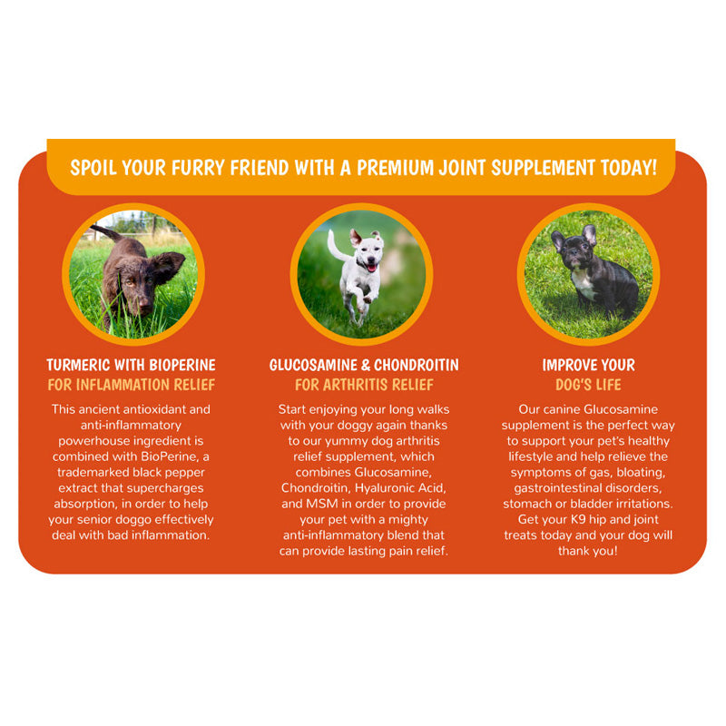 Dog and Cat Joint Supplement with Glucosamine, Chondroitin & MSM - Orange