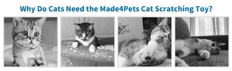 Indoor Cat Scratching Post and Interactive Toy Track Set - Small Cats