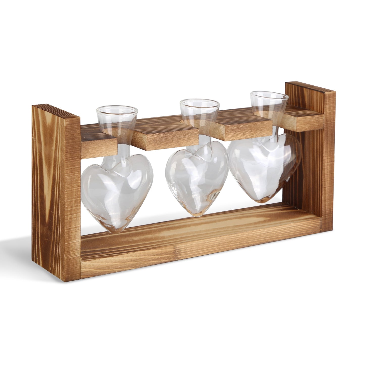 Heart-Shaped Plant Propagation Station with Wooden Stand